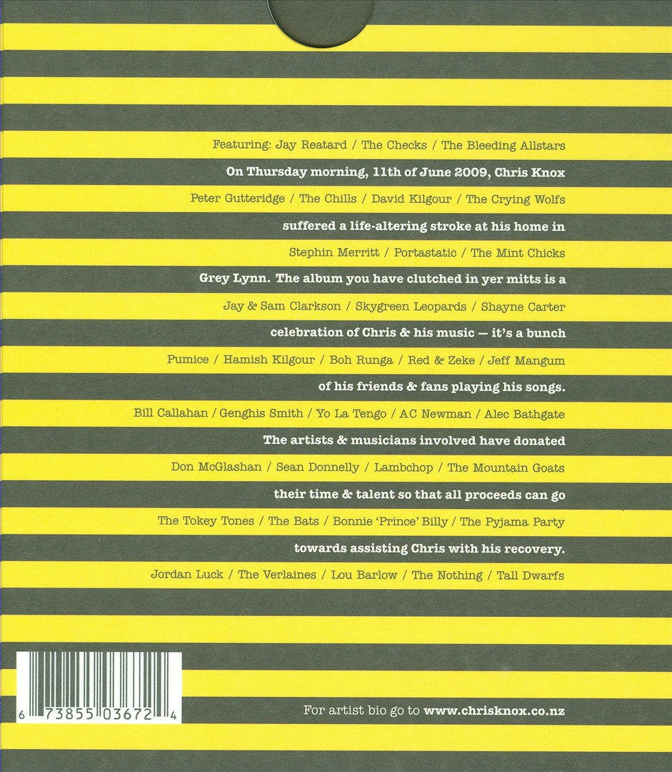 Stroke: Songs for Chris Knox cover art