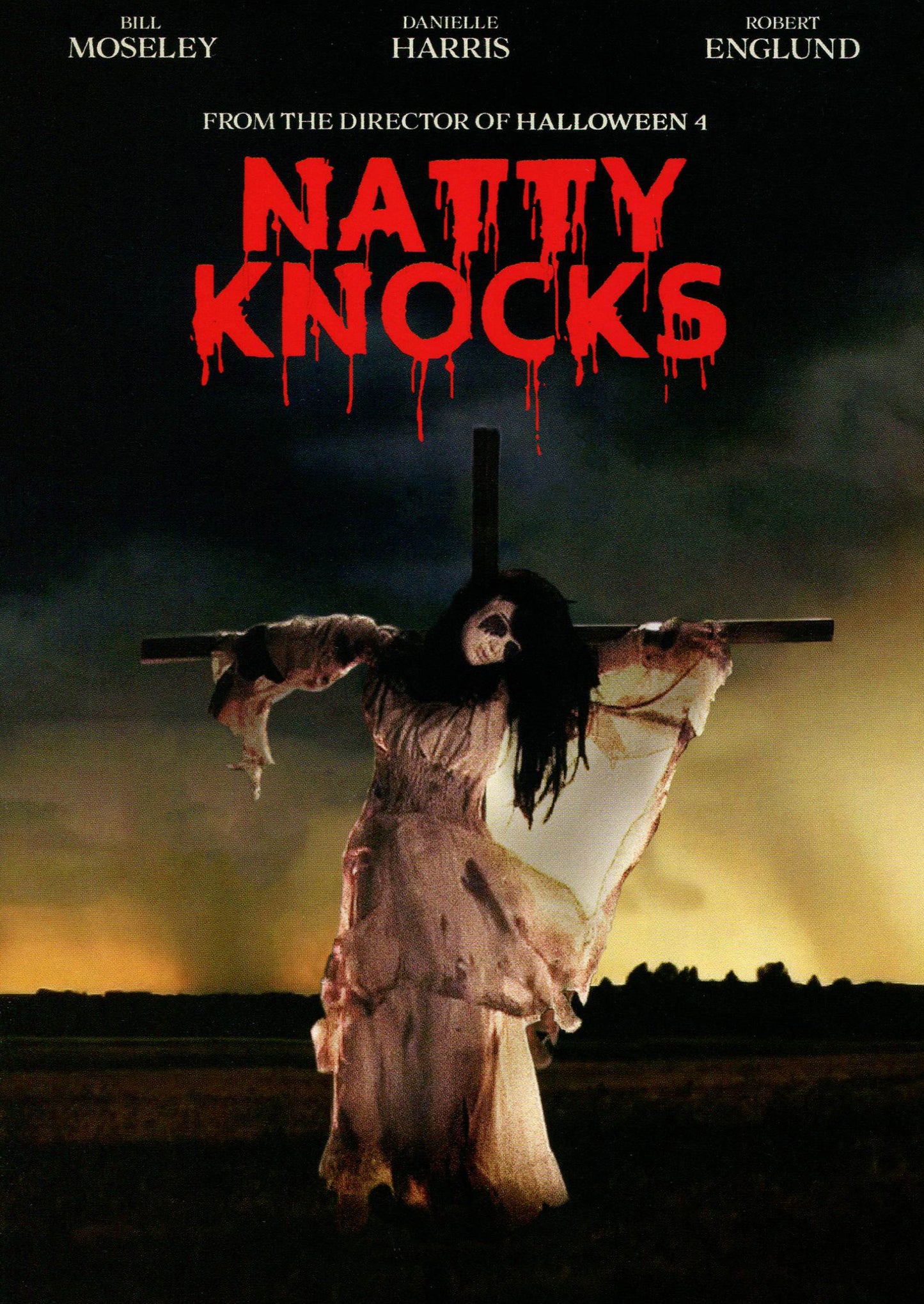 Natty Knocks cover art