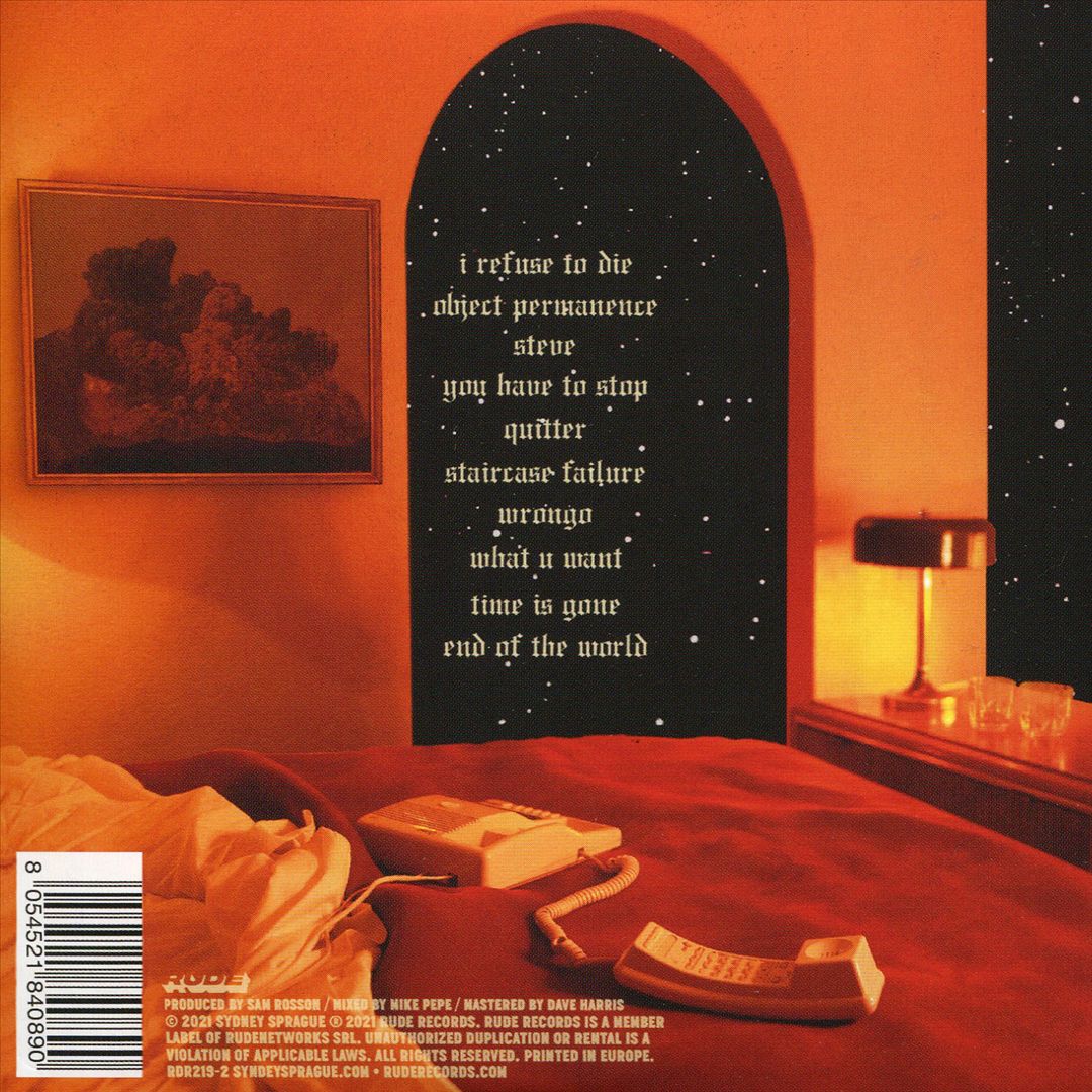 Maybe I Will See You at the End of the World cover art