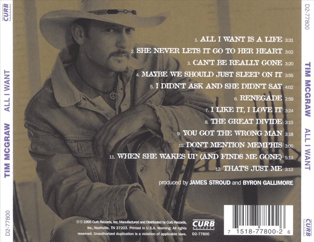 All I Want cover art