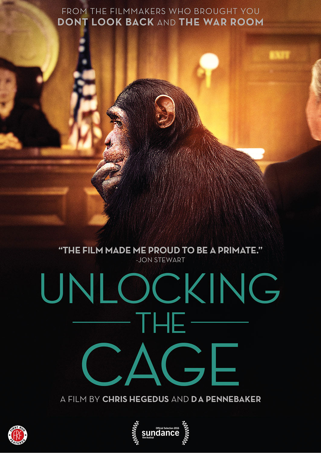 Unlocking the Cage cover art