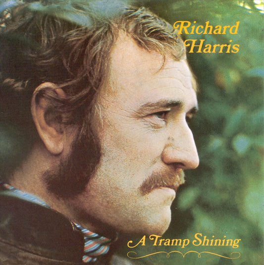 Tramp Shining cover art