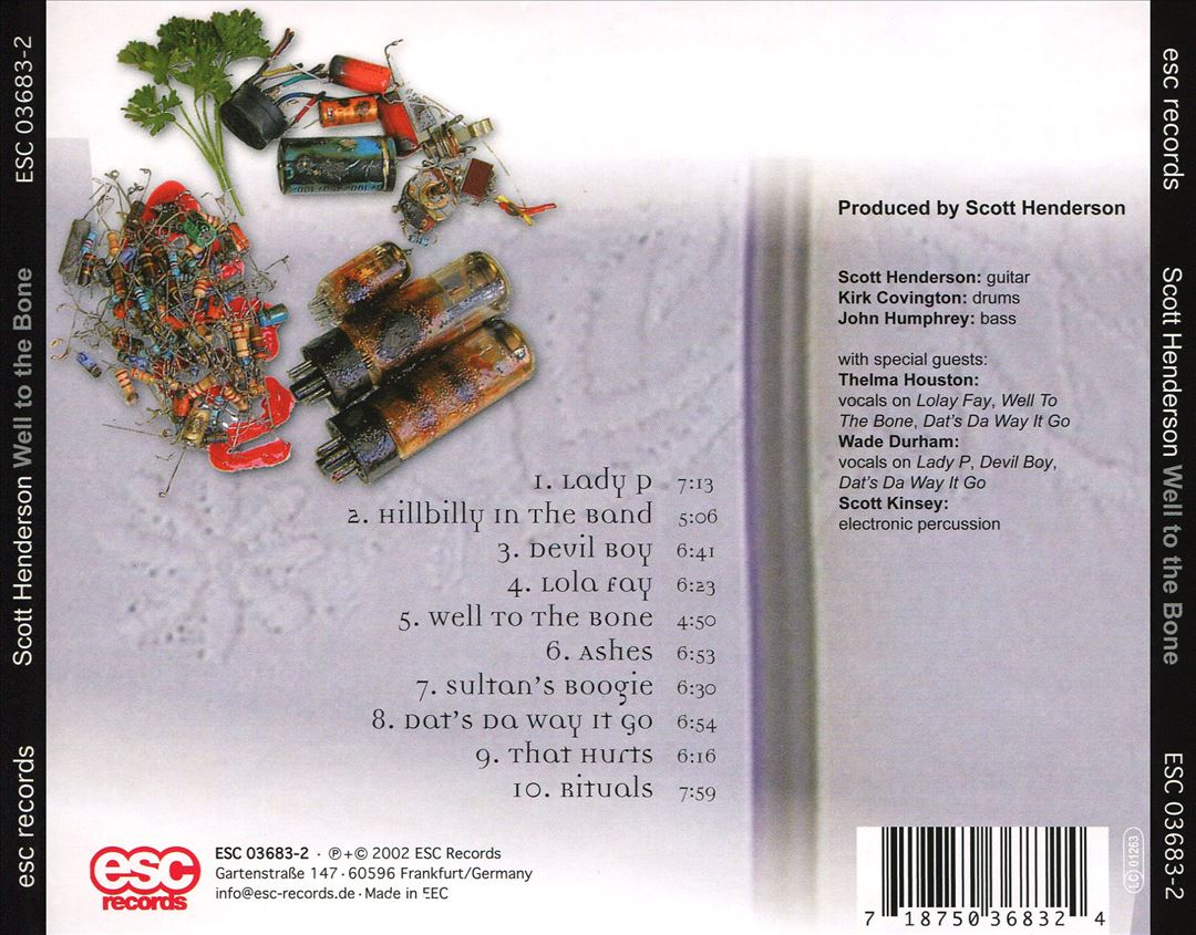 Well to the Bone cover art