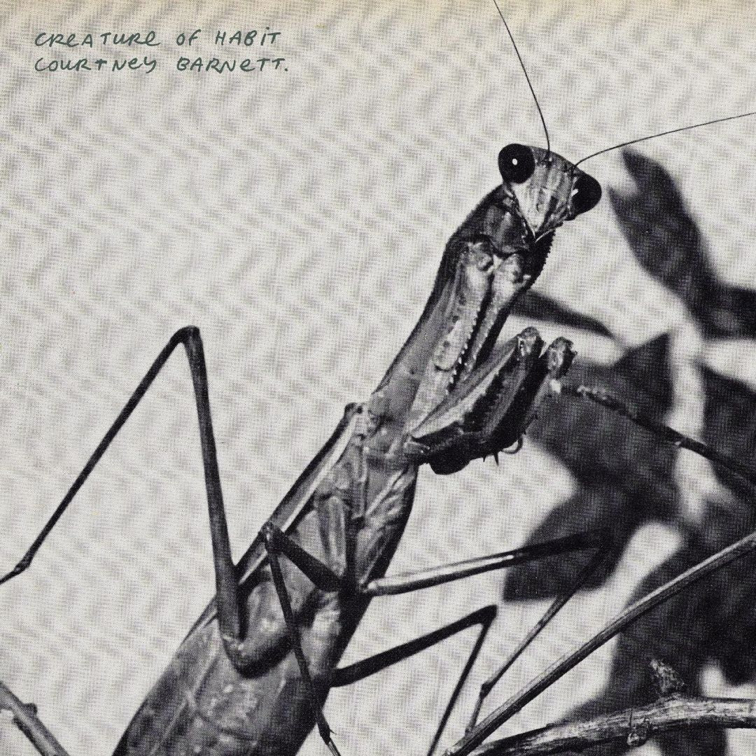 Creature of Habit cover art
