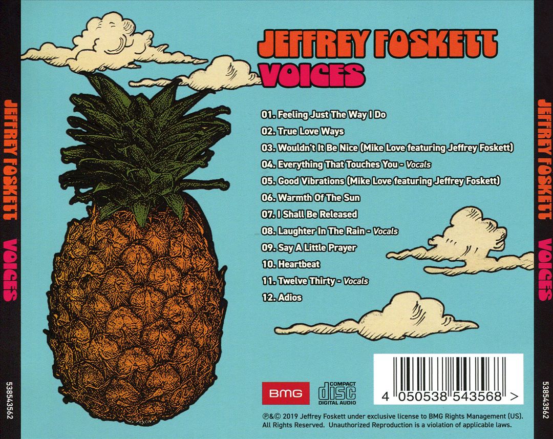 Voices cover art