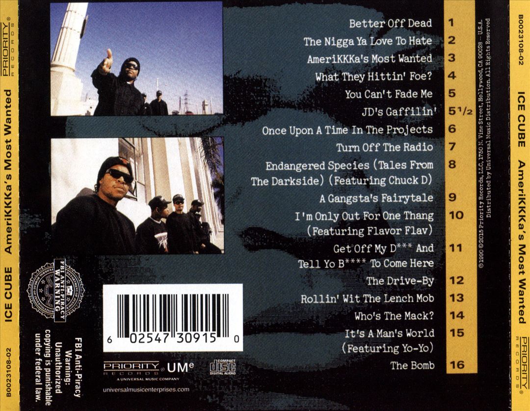 AmeriKKKa's Most Wanted cover art