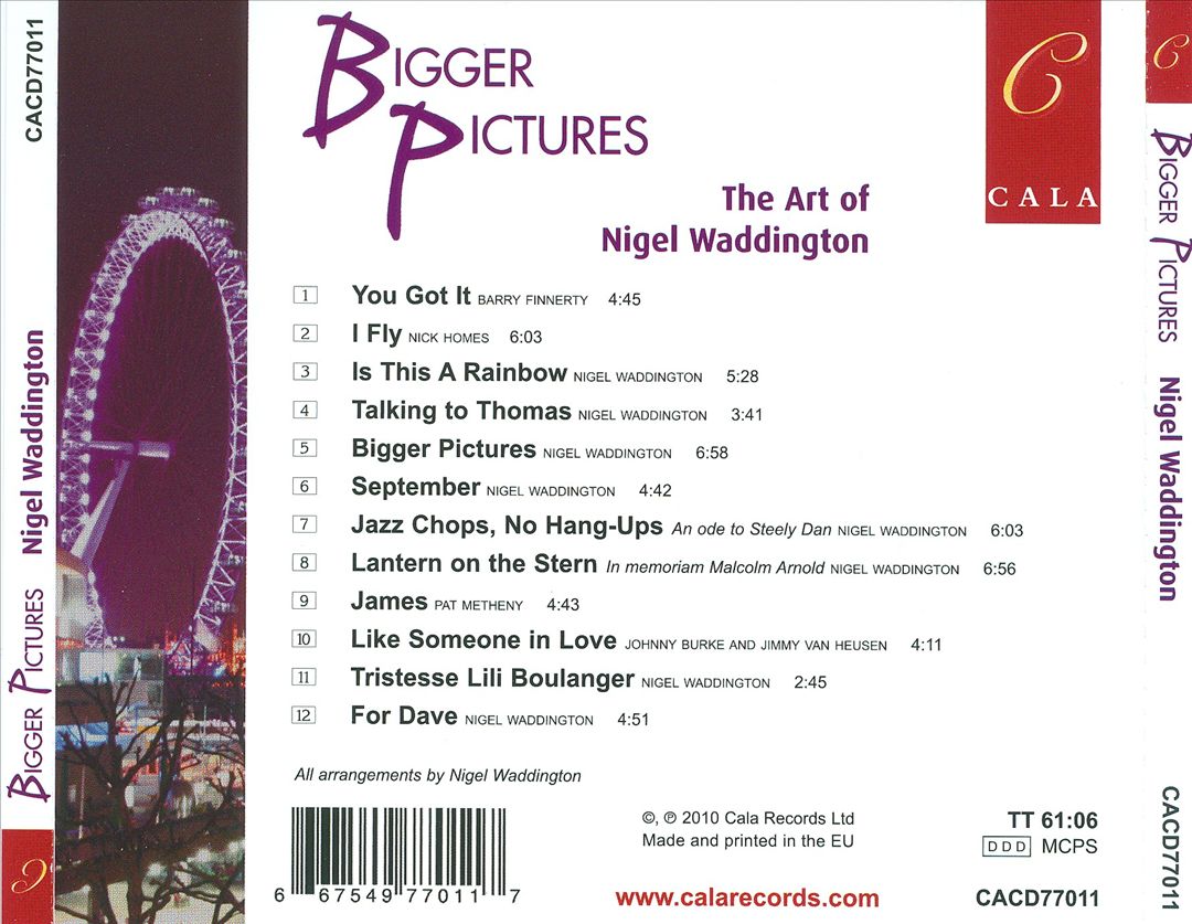 Bigger Pictures cover art