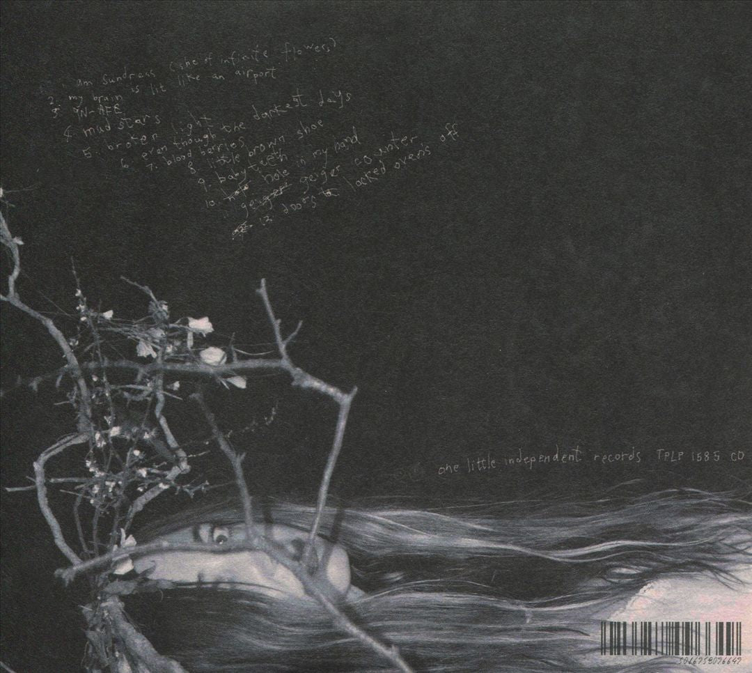 Geiger Counter cover art