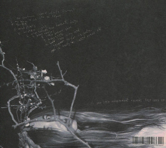 Geiger Counter cover art