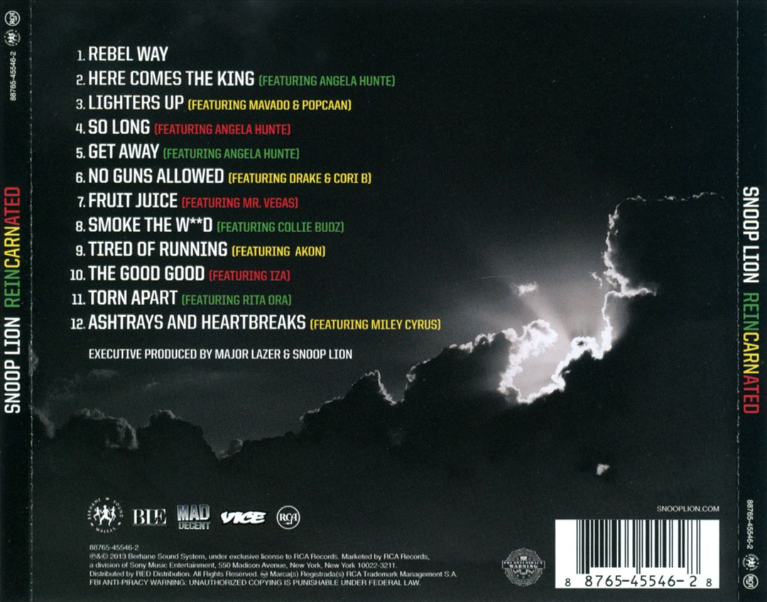 Reincarnated cover art
