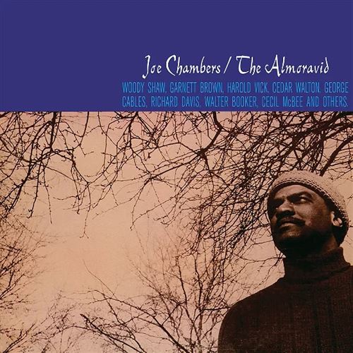 Almoravid cover art