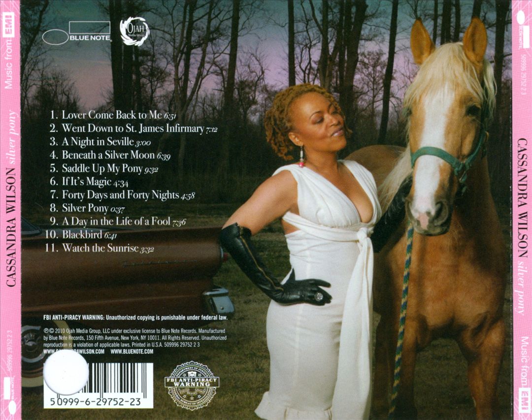 Silver Pony cover art