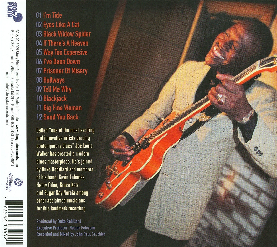 Between a Rock and the Blues cover art