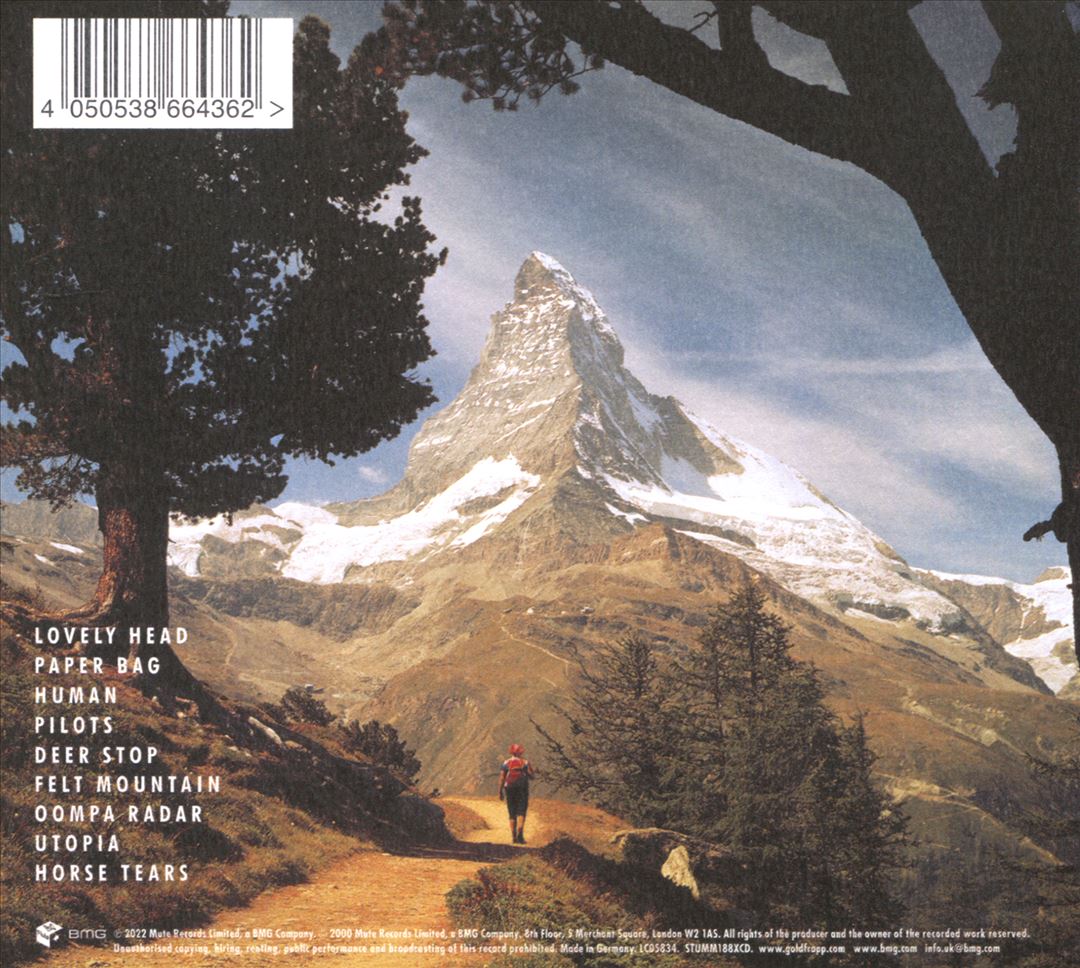 Felt Mountain cover art