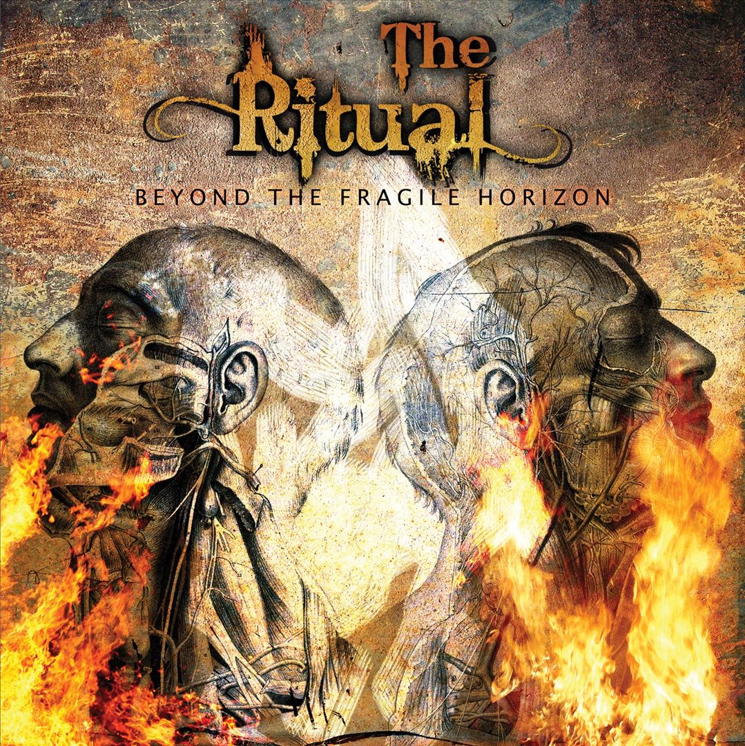 Beyond the Fragile Horizon cover art