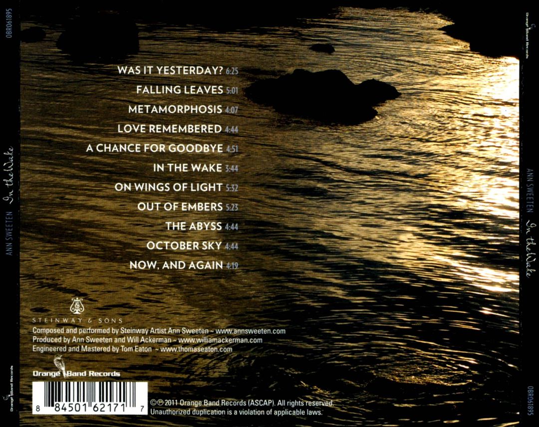In the Wake cover art