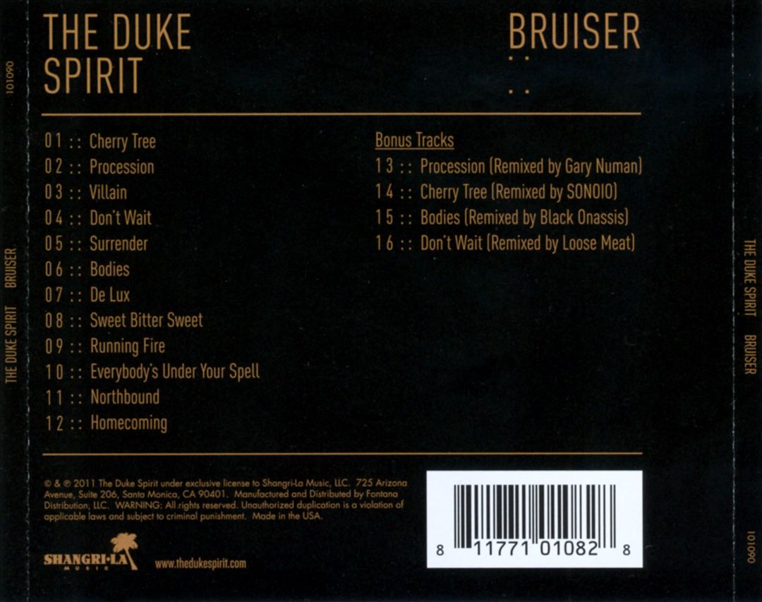 Bruiser cover art