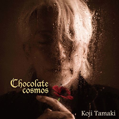 Chocolate Cosmos cover art
