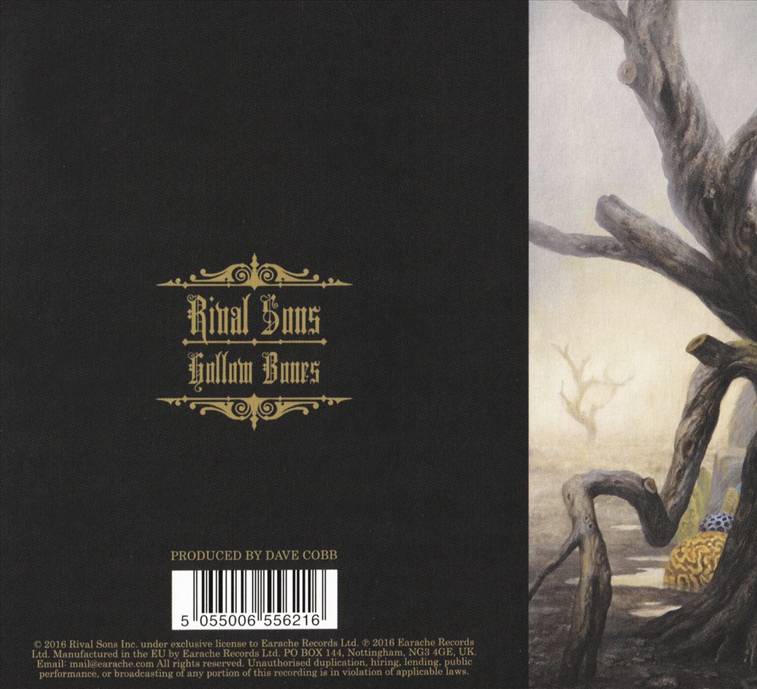 Hollow Bones cover art