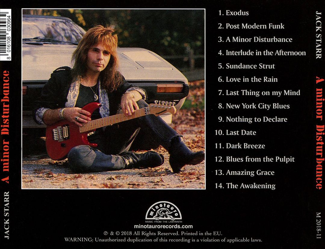 Minor Disturbance cover art