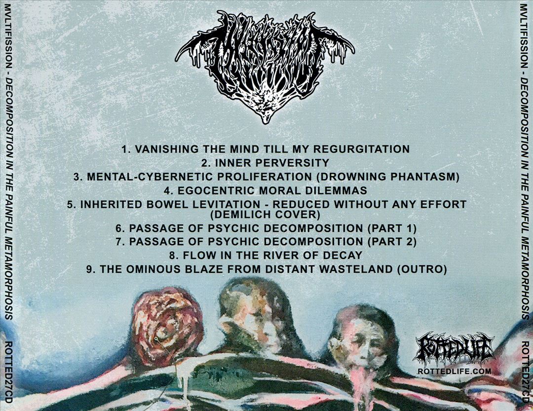 Decomposition in the Painful Metamorphosis cover art