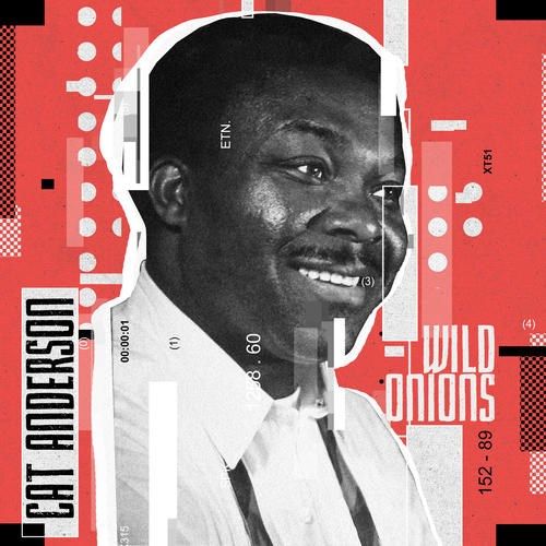 Wild Onions cover art