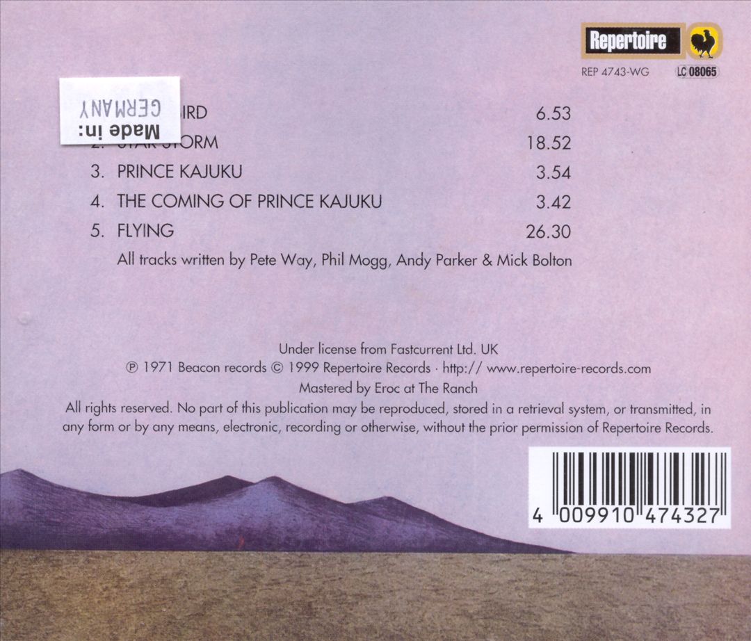 Flying cover art