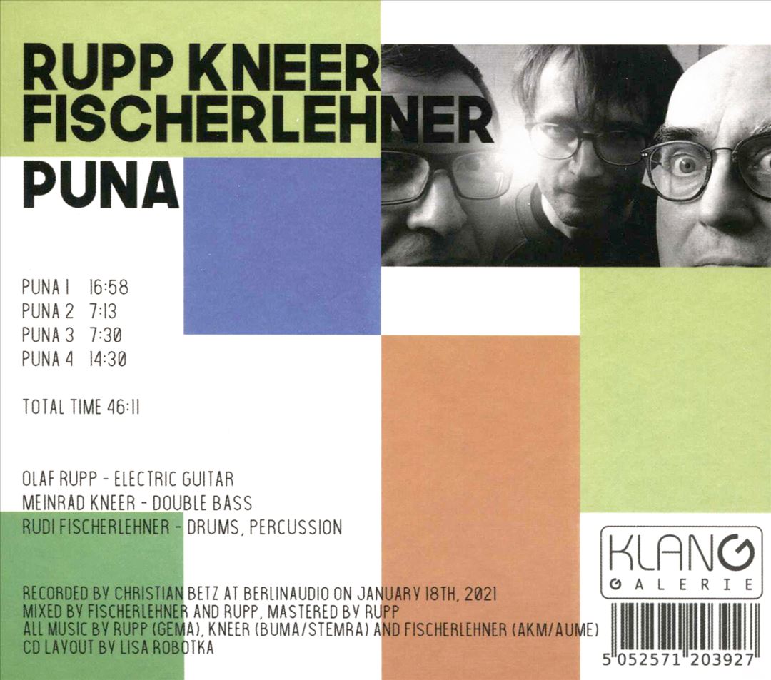 Puna cover art