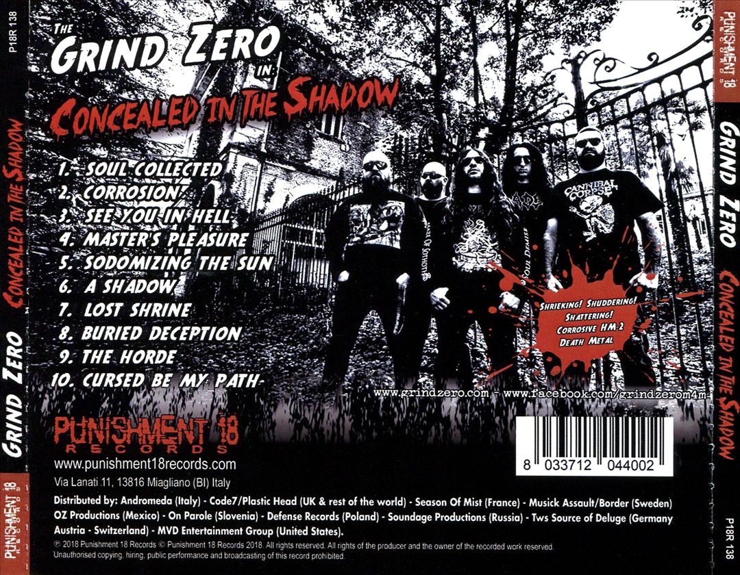 Concealed in the Shadow cover art