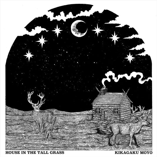 House in the Tall Grass cover art