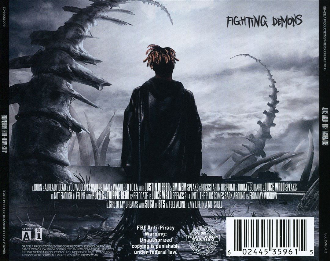 Fighting Demons cover art