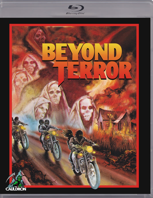 Beyond Terror [Blu-ray] cover art