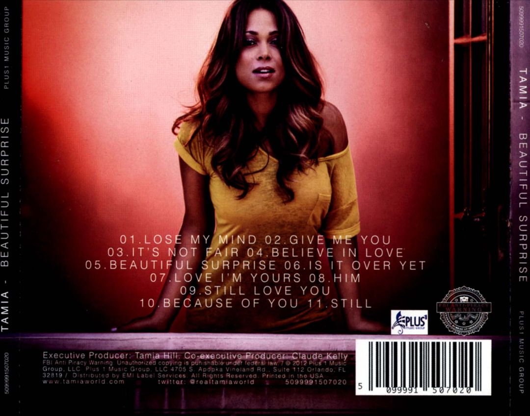 Beautiful Surprise cover art