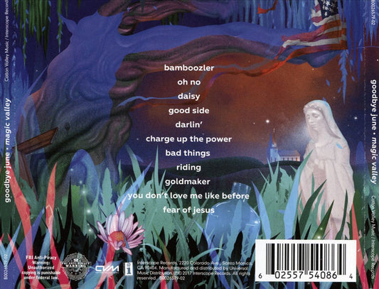 Magic Valley cover art