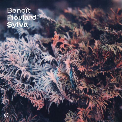 Sylva cover art