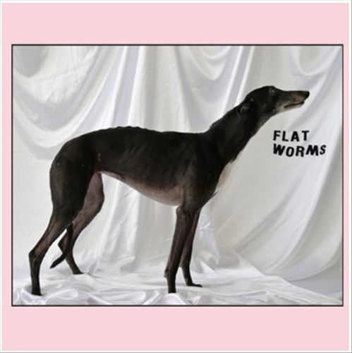 Flat Worms cover art