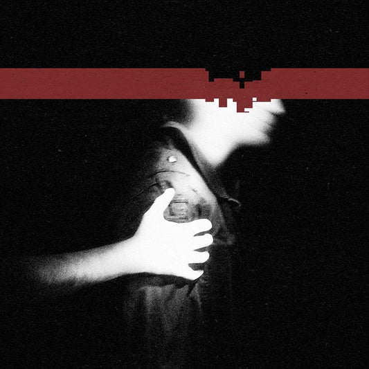 The Slip [CD/DVD] cover art