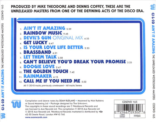 Ain't It Amazing cover art