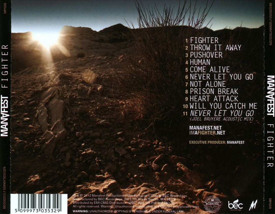Fighter cover art