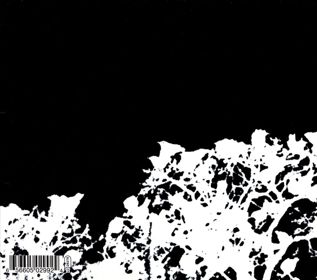 Didn't It Rain [Bonus Tracks] cover art