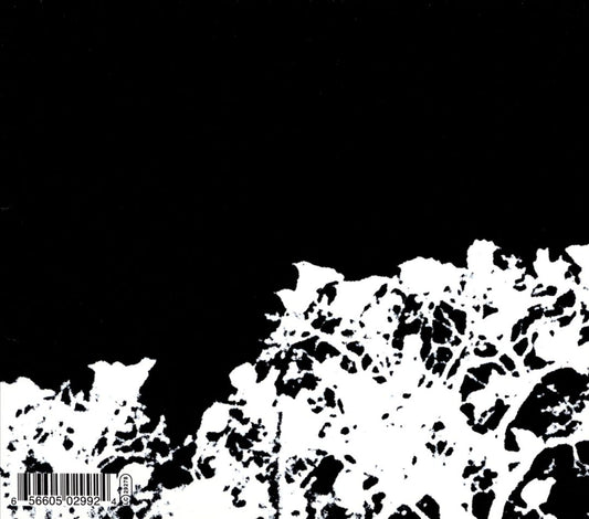 Didn't It Rain [Bonus Tracks] cover art