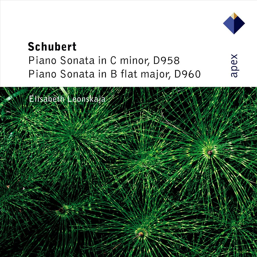 Schubert: Piano Sonatas Nos 19 & 21 cover art
