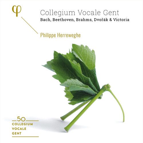 50th Anniversary: Bach, Beethoven, Brahms, Dvorák & Victoria cover art