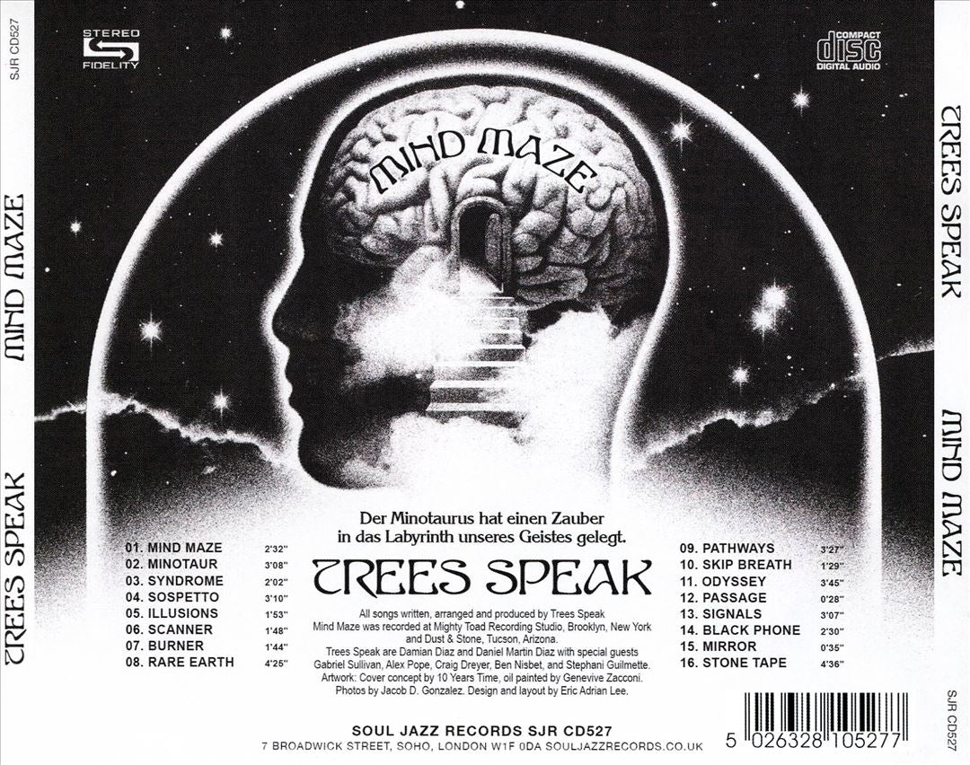 Mind Maze cover art