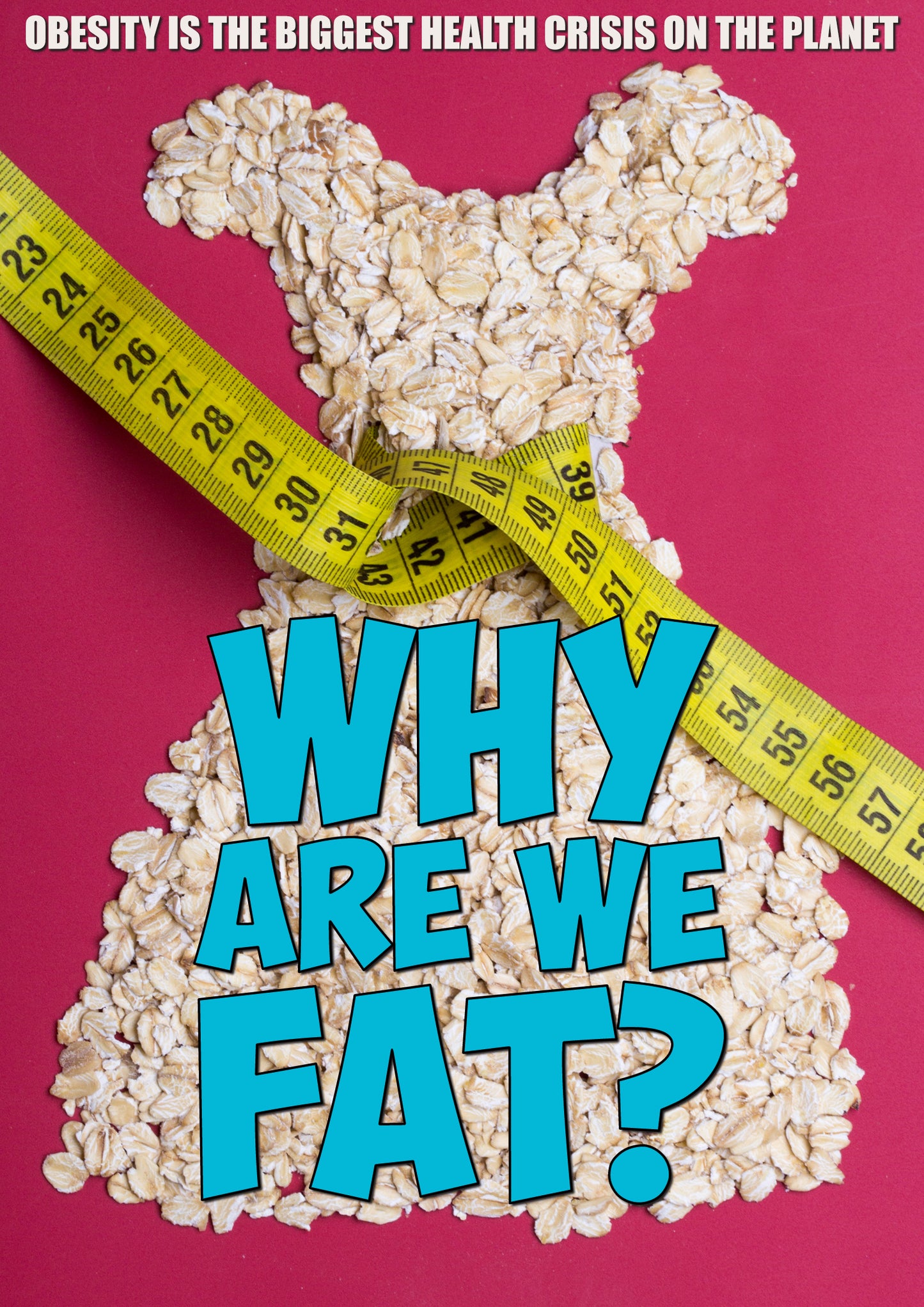 Why Are We Fat? cover art