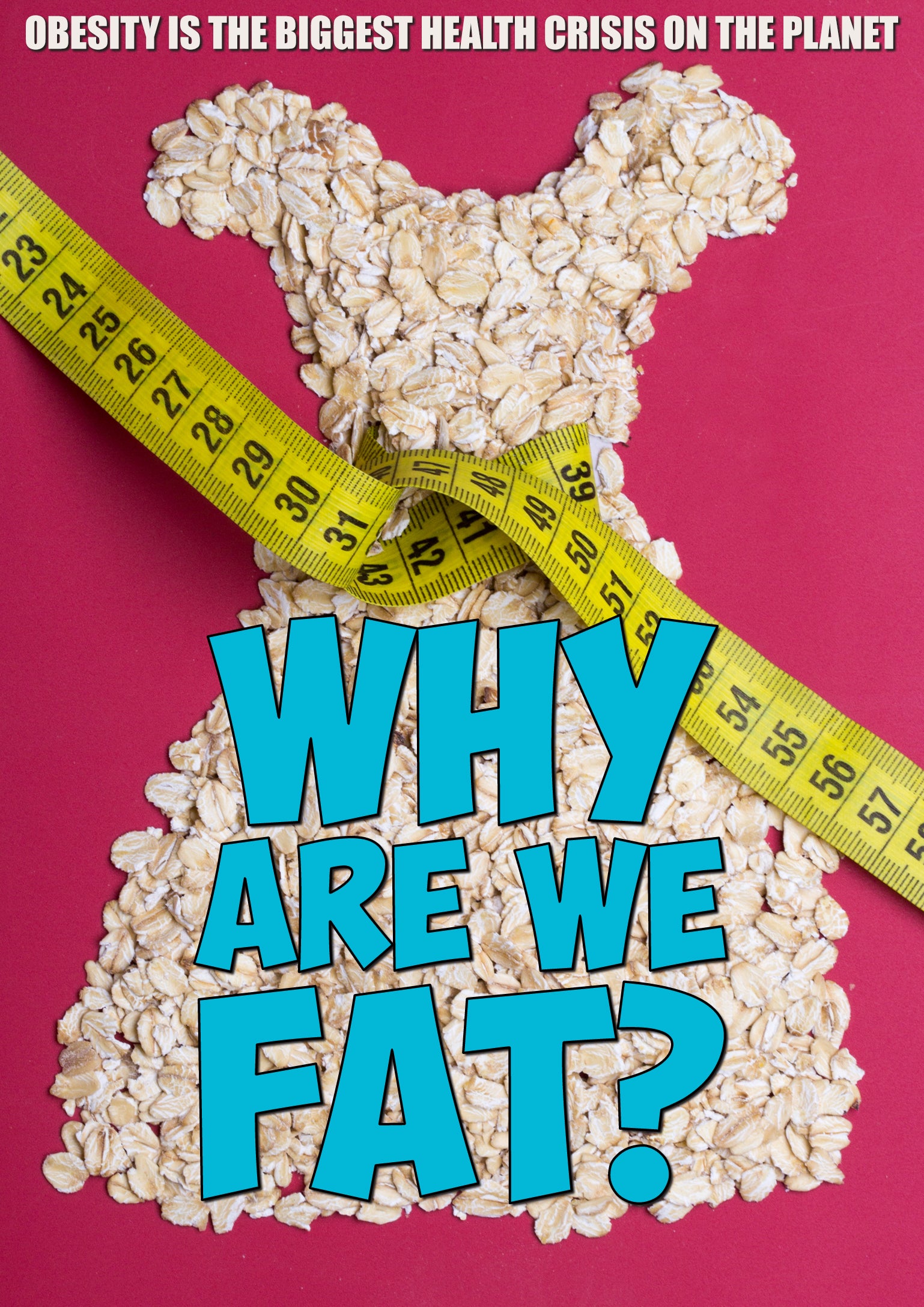 Why Are We Fat? cover art