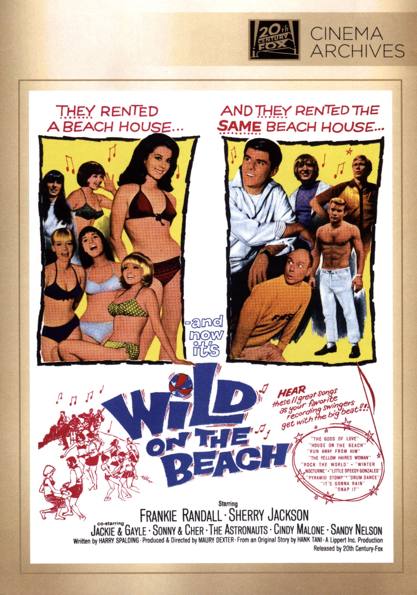 Wild on the Beach cover art