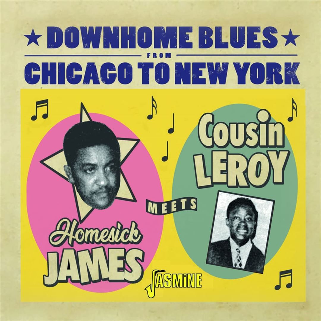 Downhome Blues from Chicago to New York cover art