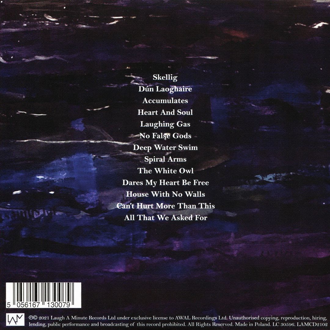 Skellig cover art