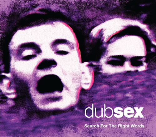 Search for the Right Words cover art